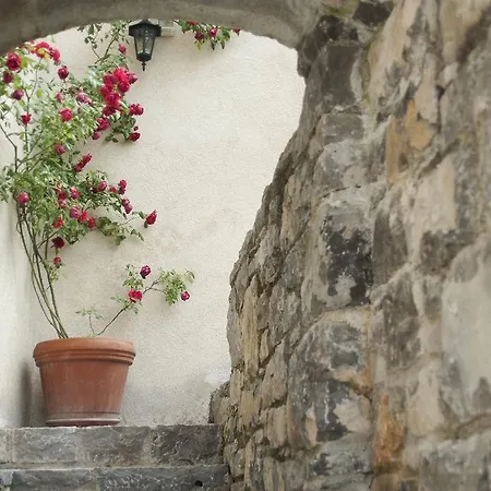 Stanjelski Razgledi Ar