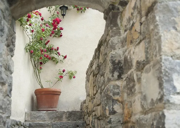 Stanjelski Razgledi Ar